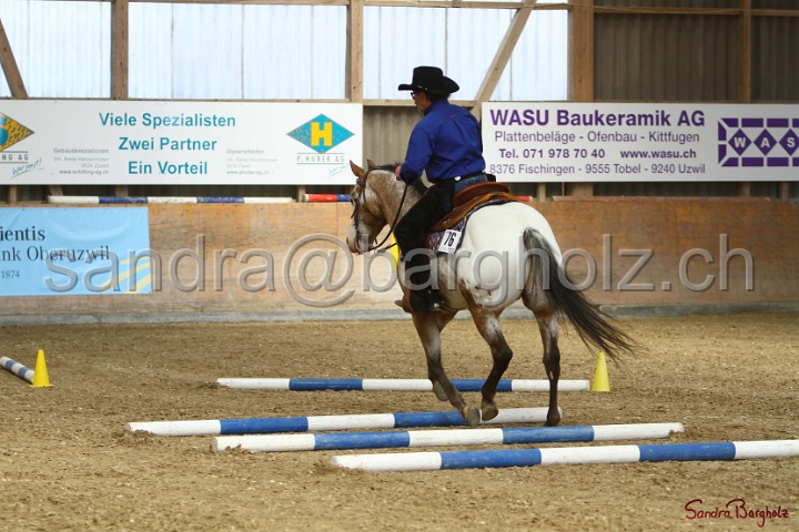26-ApHC GT_093.jpg